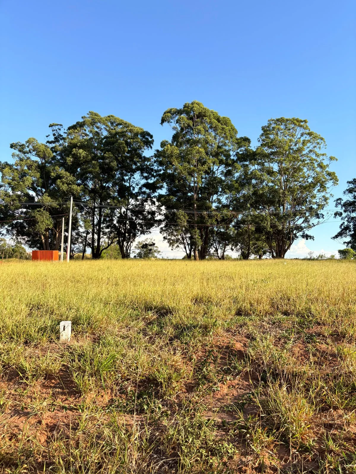 Terreno Moura Leite