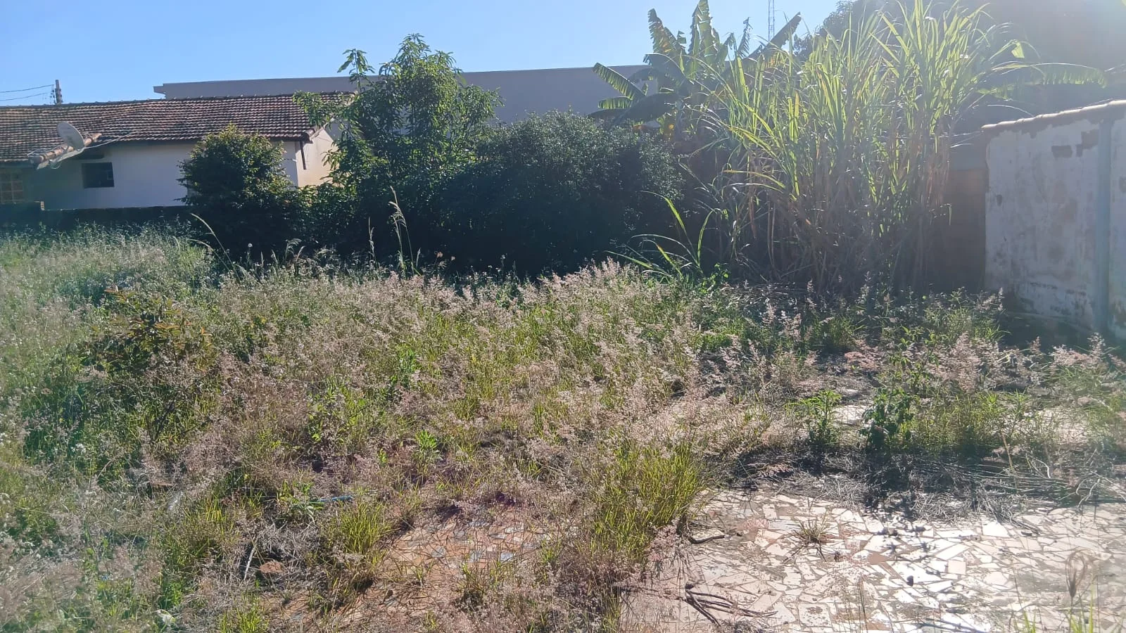 Terreno Parque das Abelhas - Foto 2