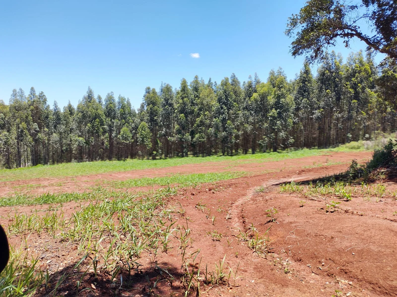 Terreno entre Iaras e Águas de Santa Barbára
