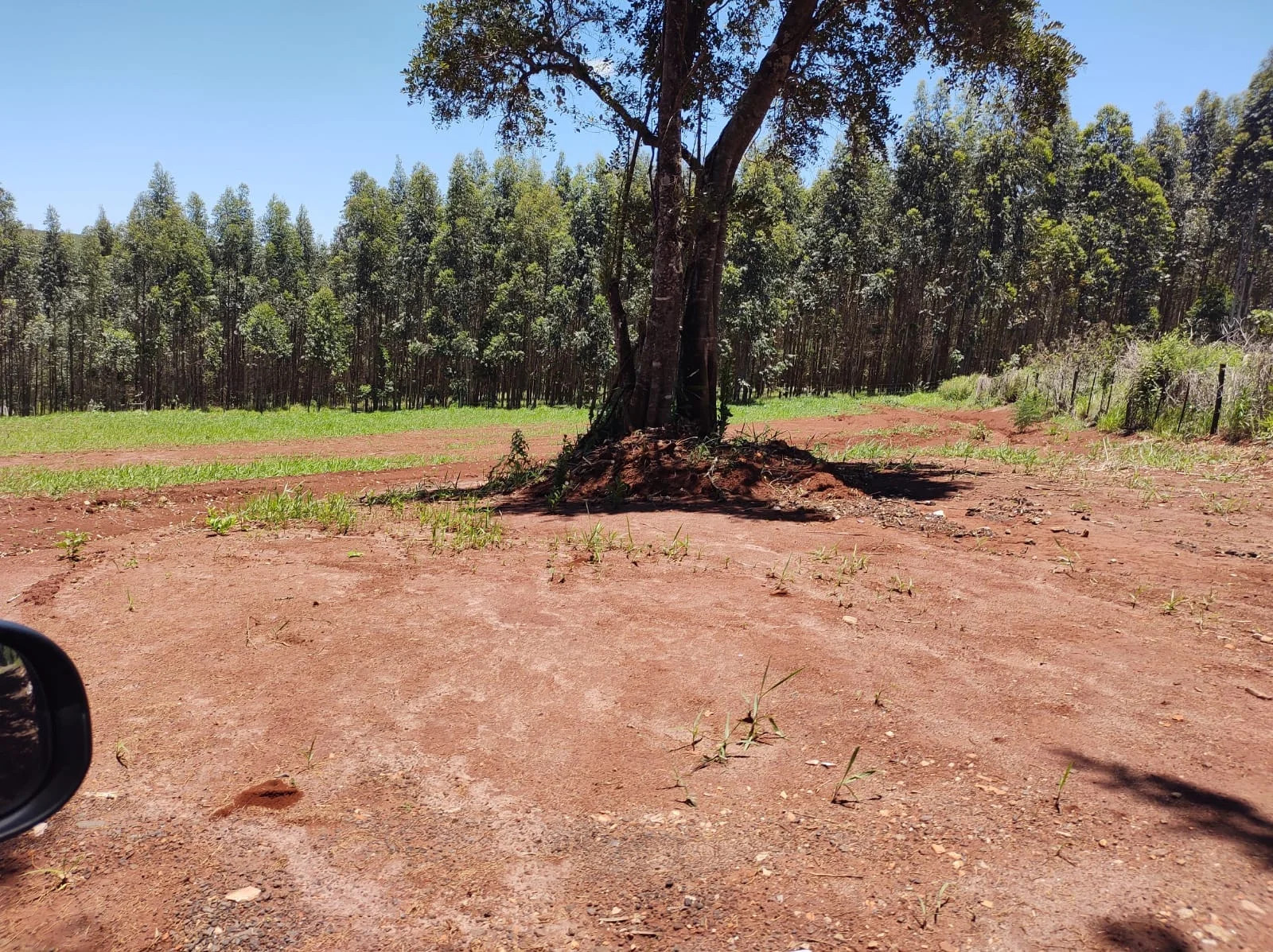 Terreno entre Iaras e Águas de Santa Barbára - Foto 2