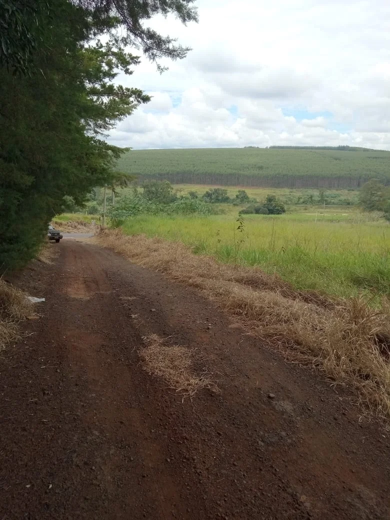 Terreno entre Iaras e Águas de Santa Barbára - Foto 4