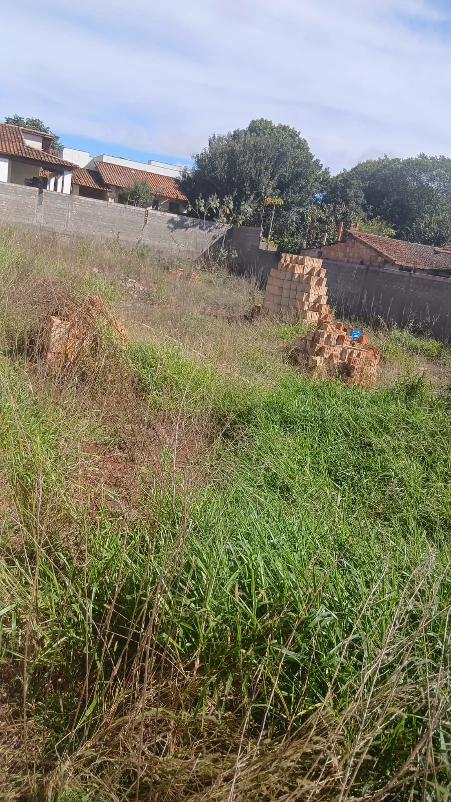 Terreno Parque das Abelhas - Foto 3