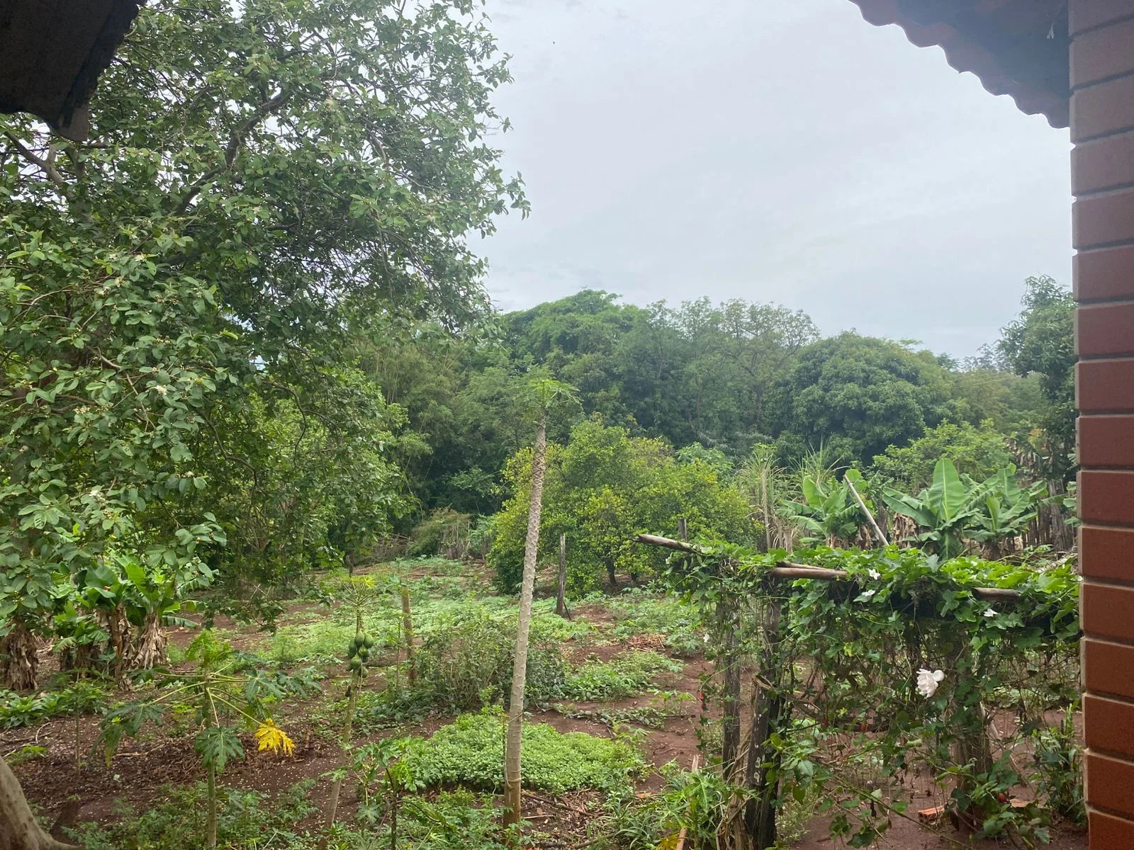 Casa Residencial