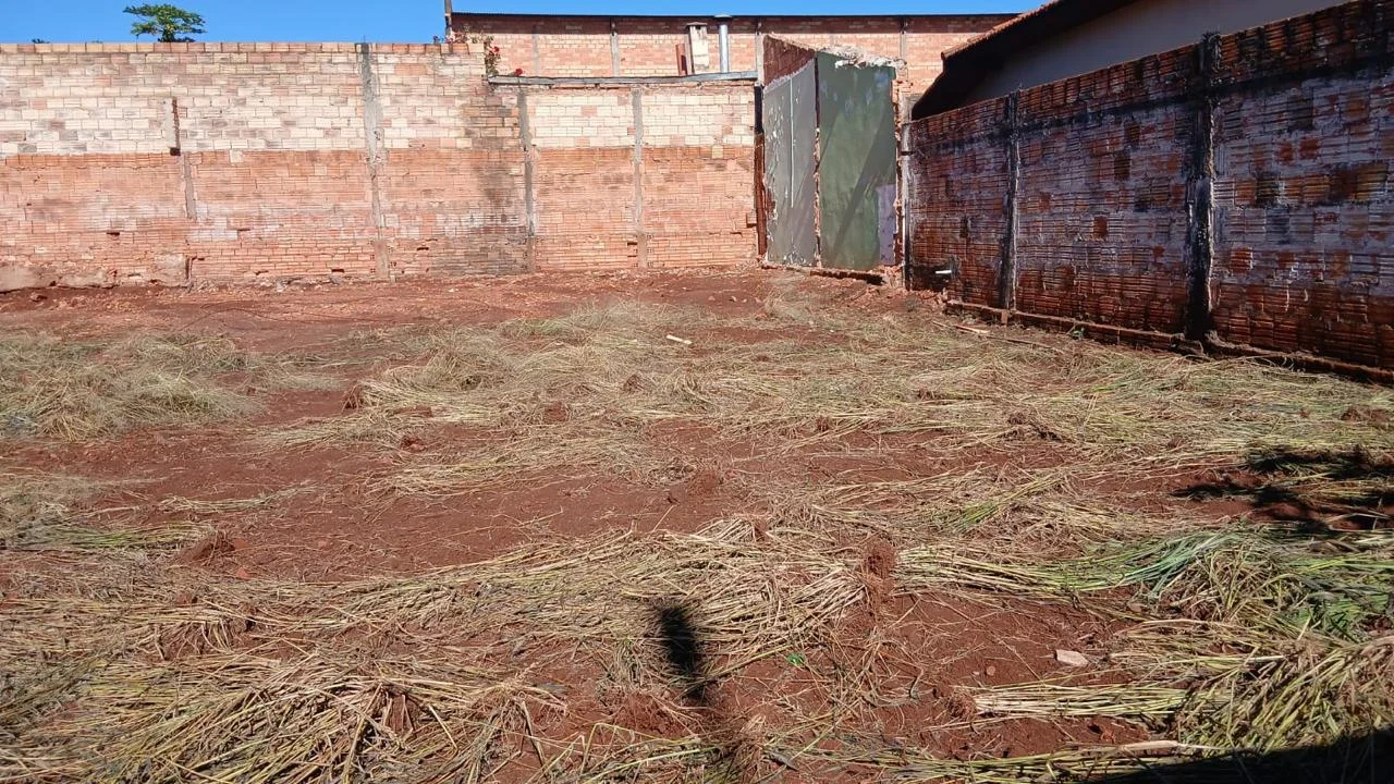 Terreno Óleo - Foto 2