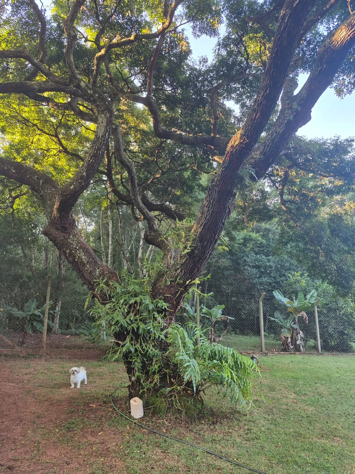 Chácara em Avaré