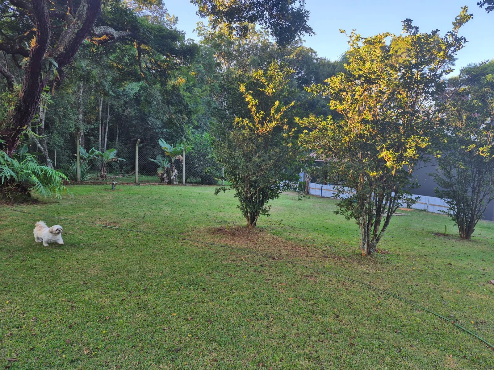 Chácara em Avaré