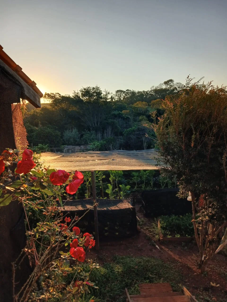 Chácara São Luis