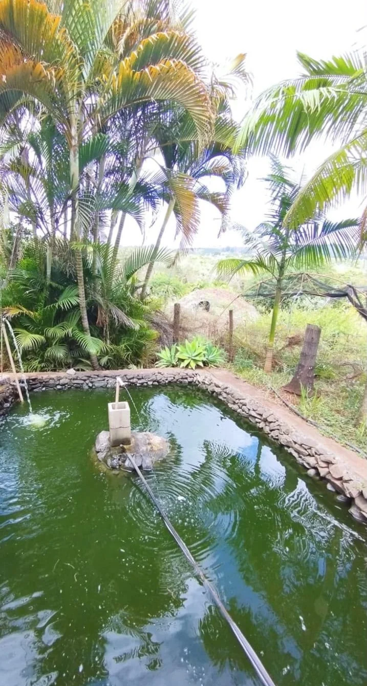 Chácara Nossa Senhora do Monte Alegre