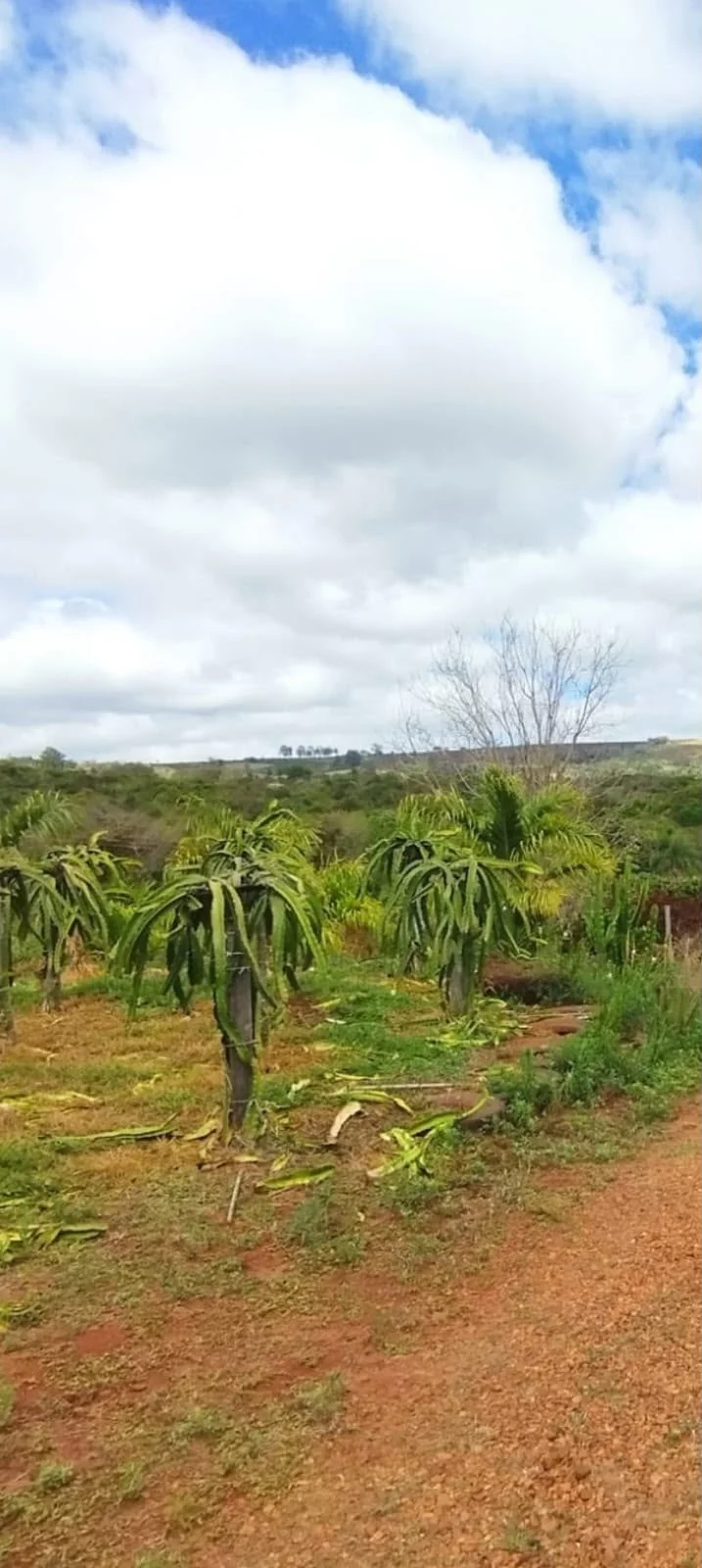 Chácara Nossa Senhora do Monte Alegre