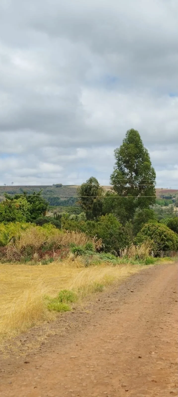 Chácara Nossa Senhora do Monte Alegre - Foto 4