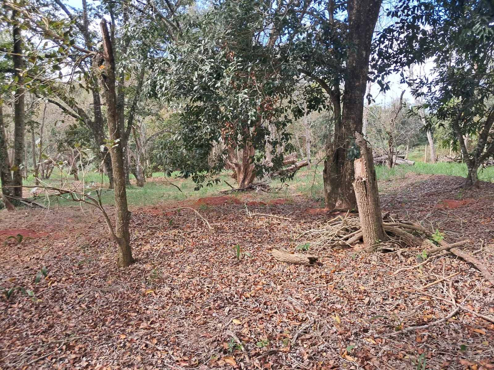 Chácara no Bairro Santoro