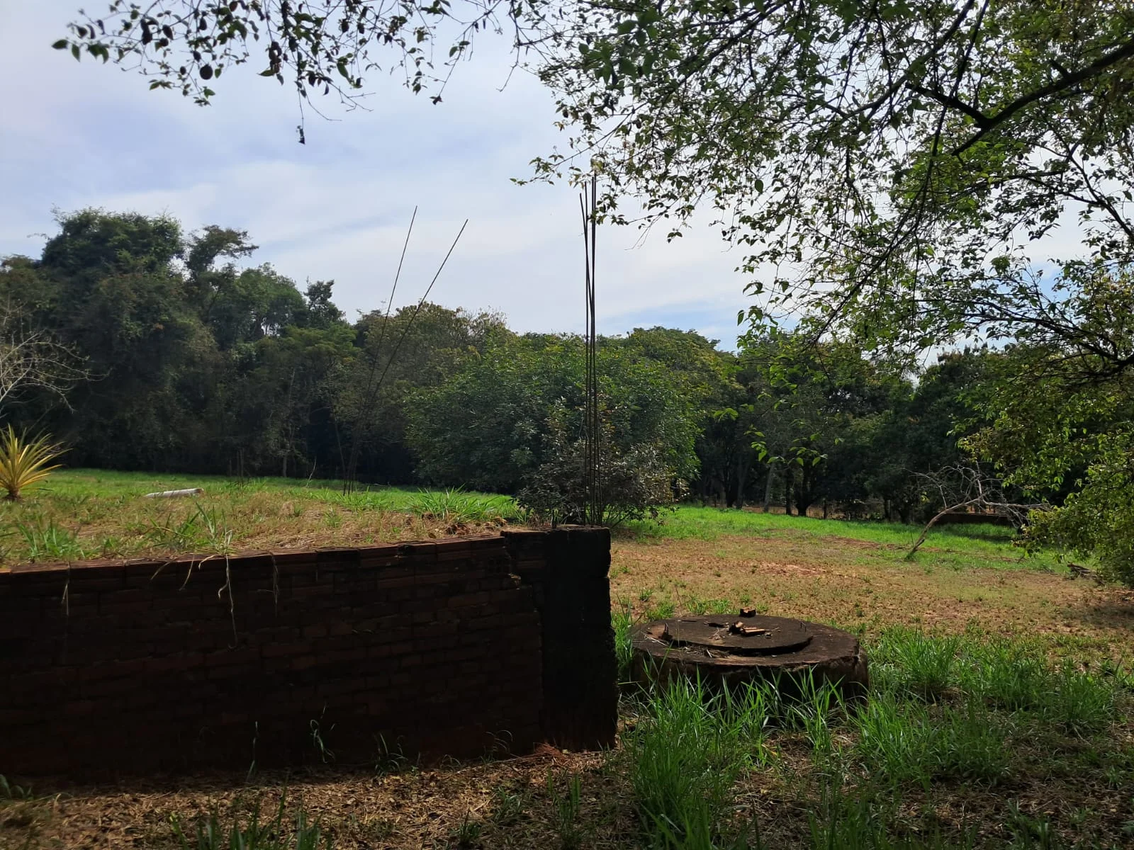 Chácara no Bairro Santoro - Foto 4