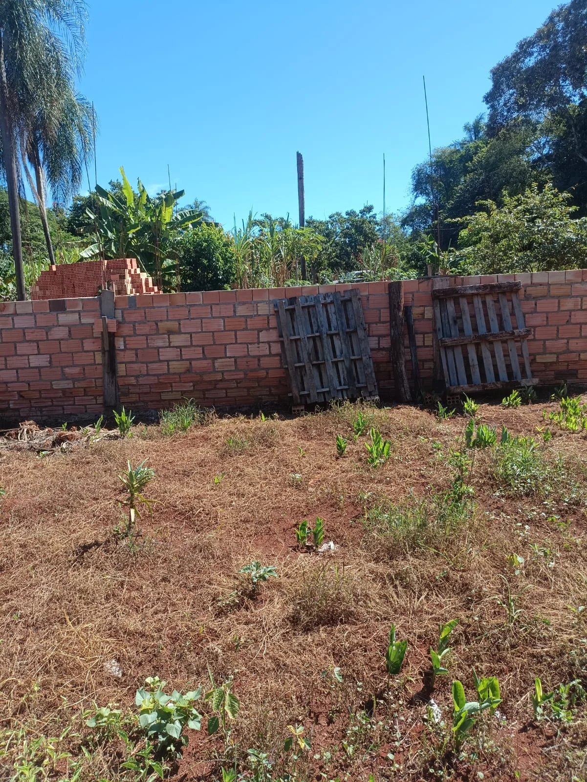 Terreno com Construção
